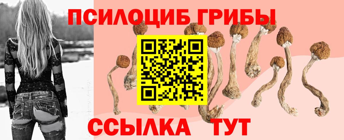 Галлюциногенные грибы Psilocybine cubensis  Вход с VPN  Котельники 